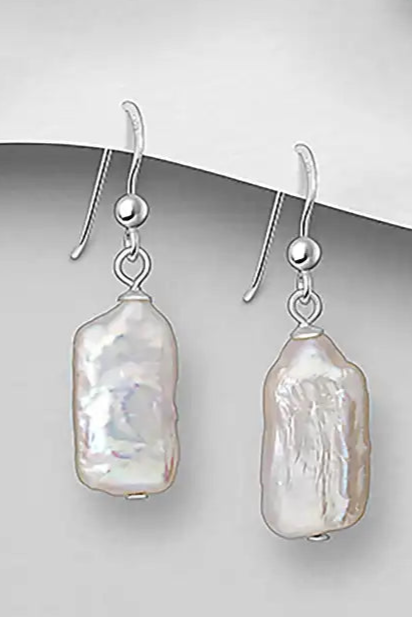 Sterling Silver Hook Earrings