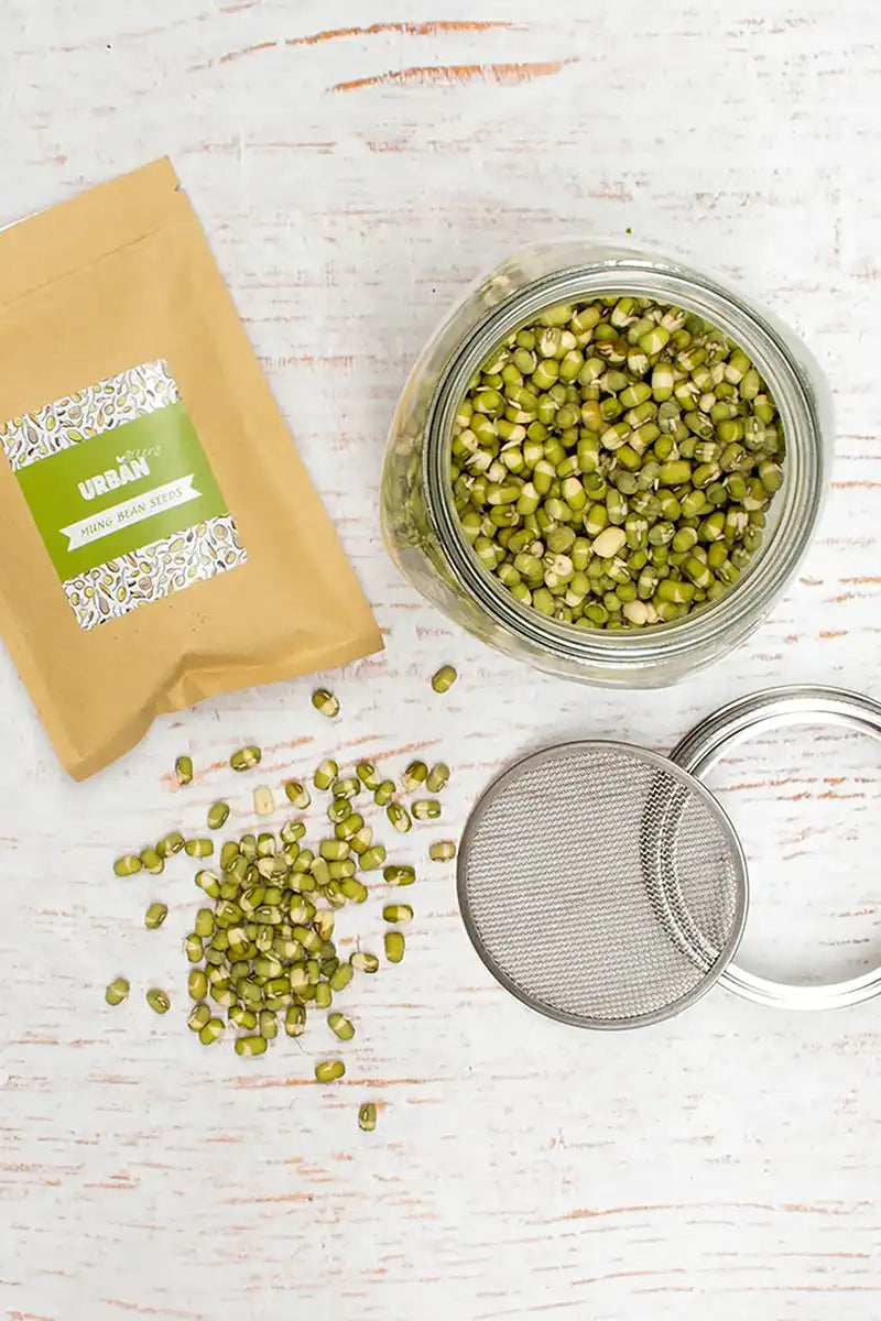 Urban Greens Sprout Jar Kit - Mung Beans