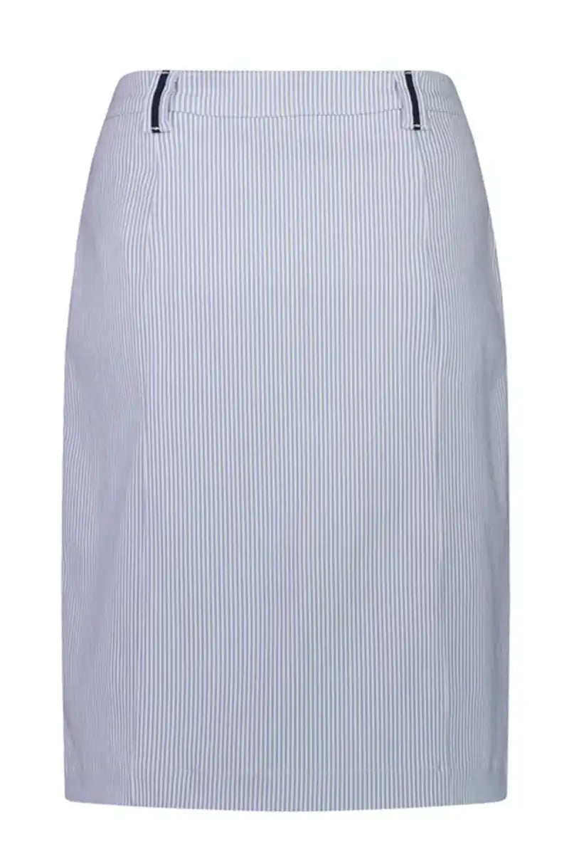 Vassalli Knee Length Skirt in Blue Stripe back garment only view