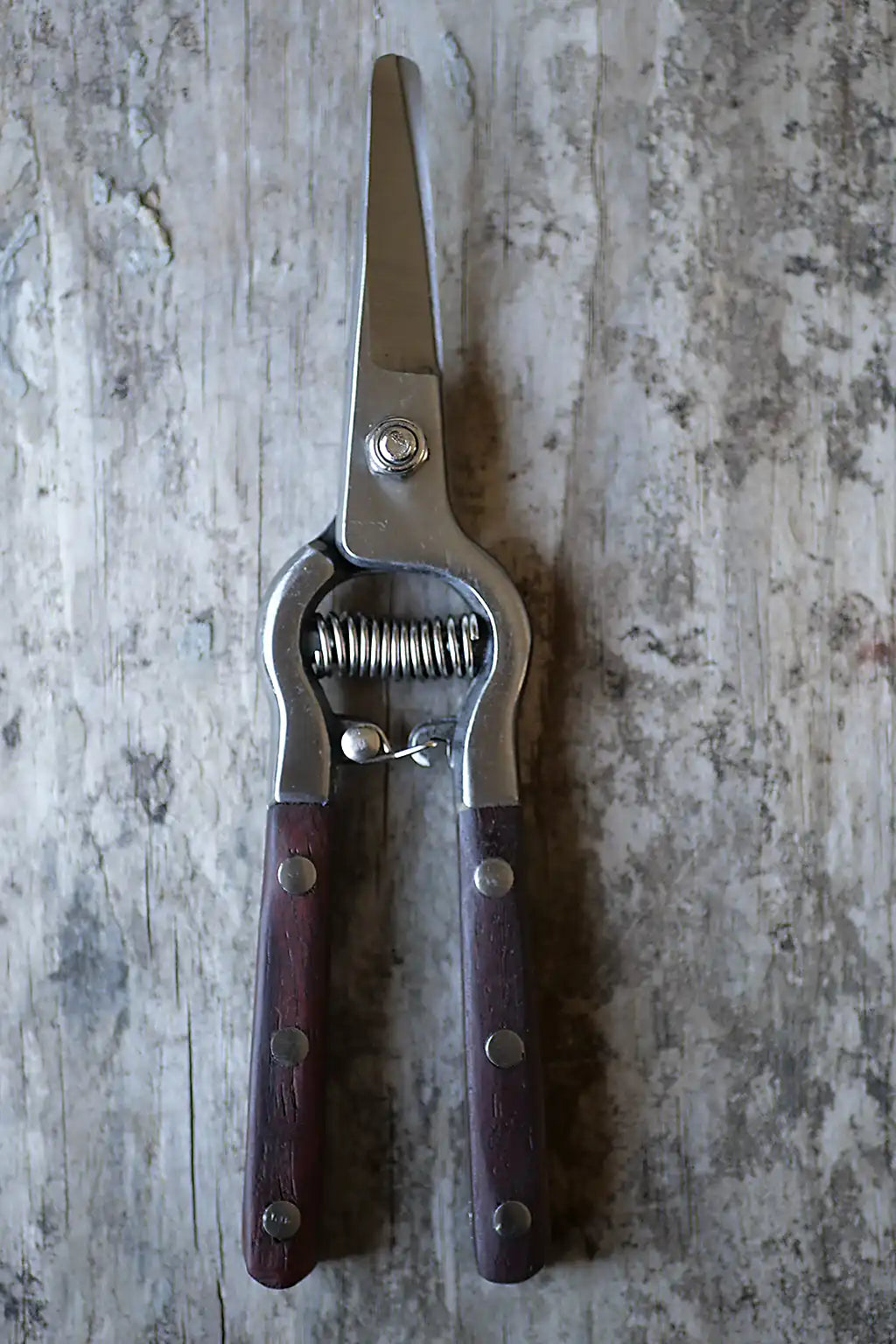 Garden snips with a dark wood handle on a rustic timber board