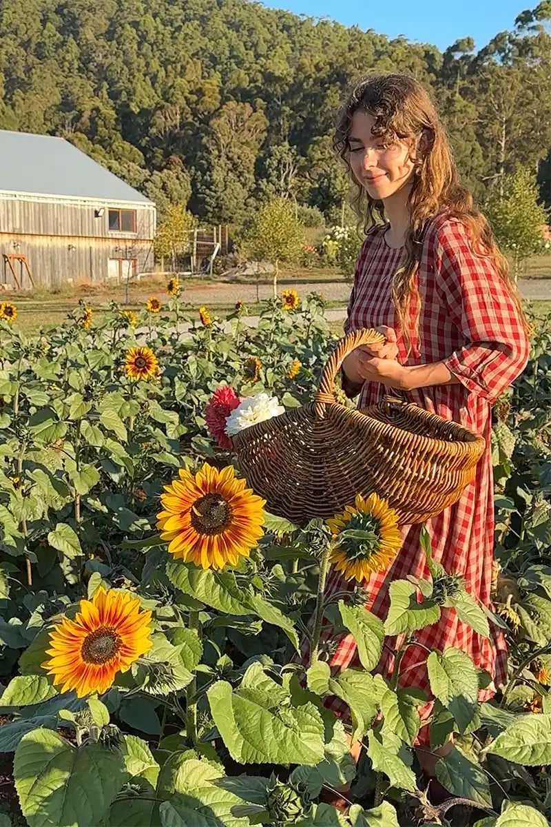 side view of the Red Gingham dress in the sunflower field