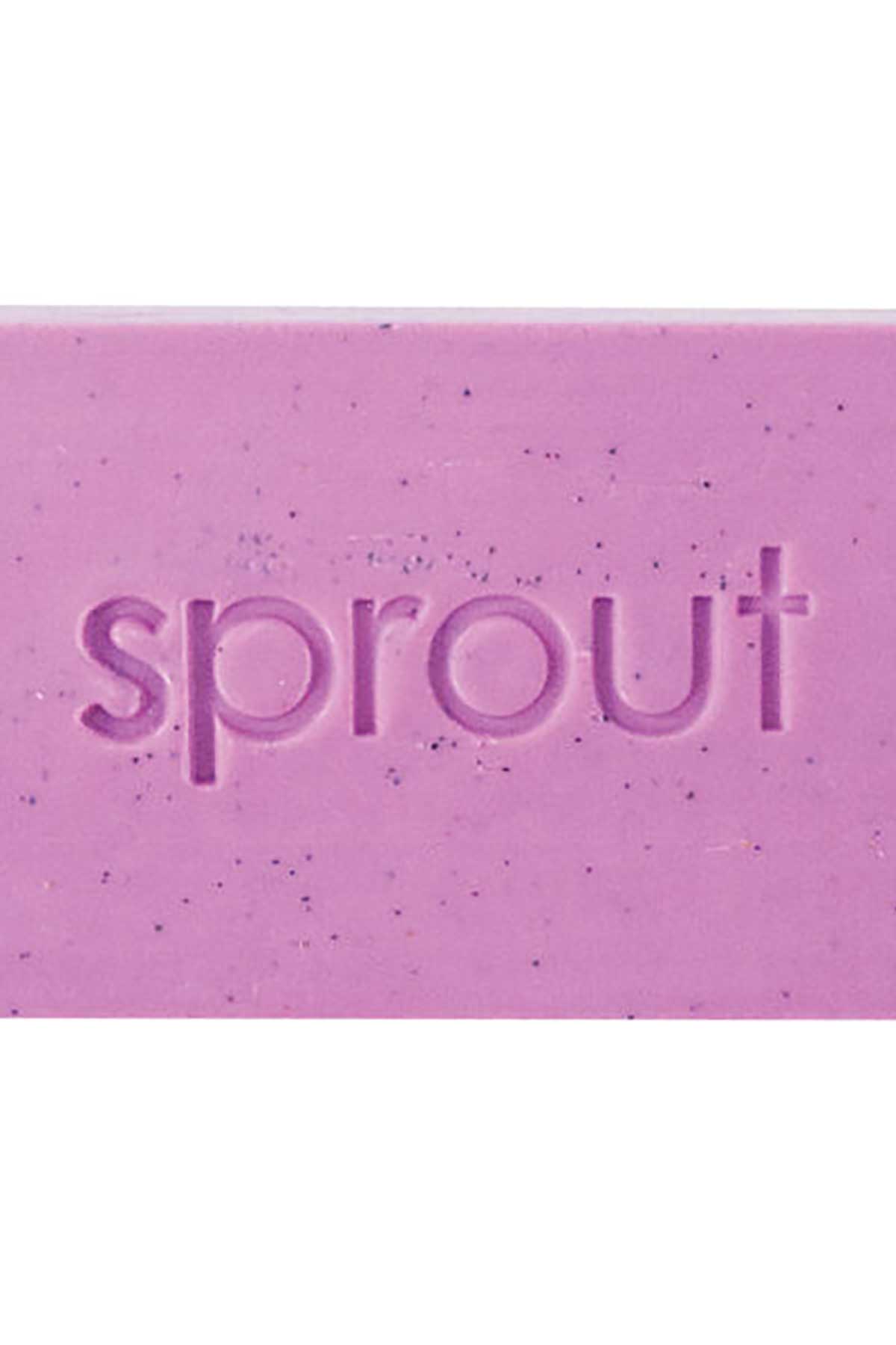Annabel Trends Sprout Gardeners Hand Soap - Wild Fig & Lychee