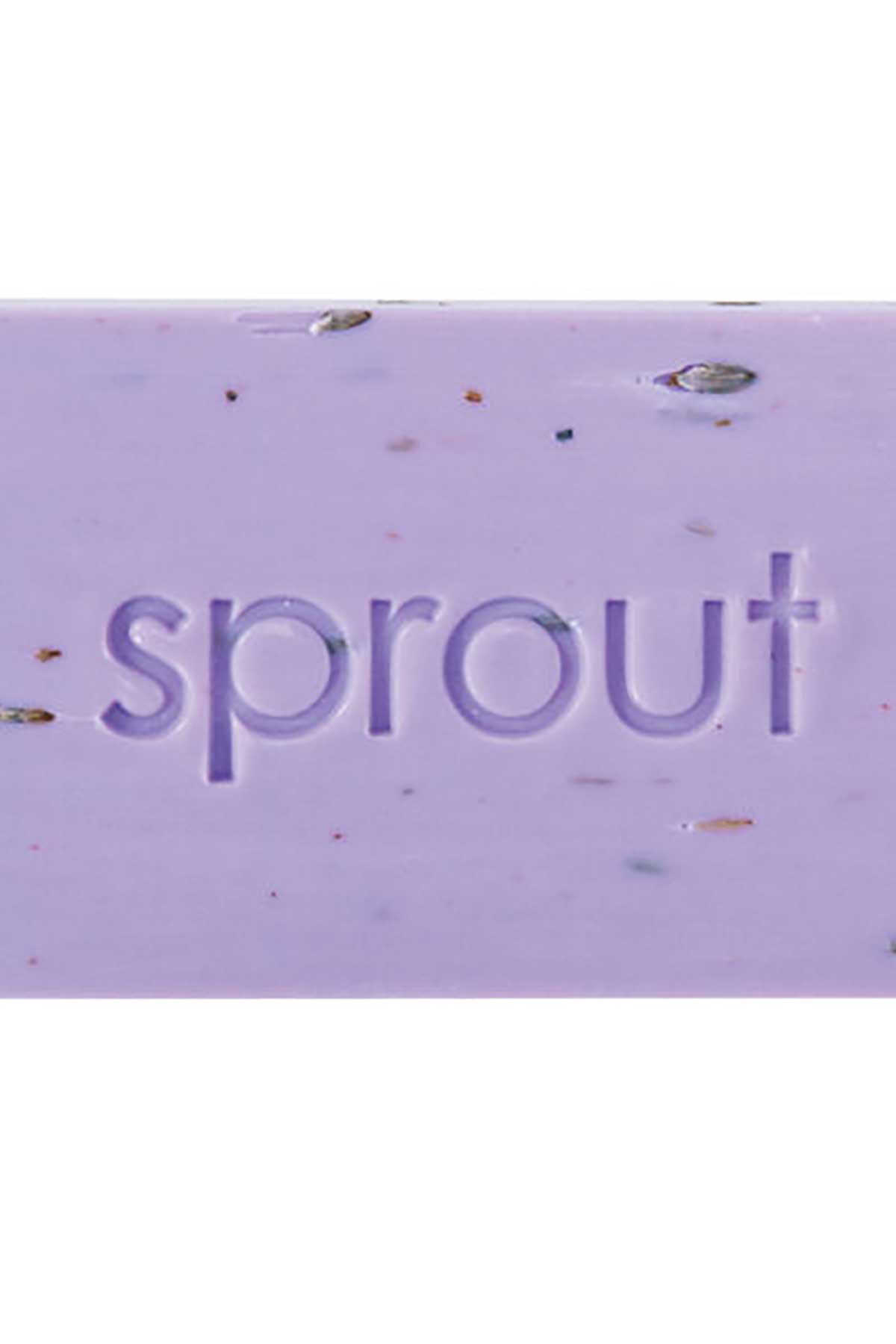 Annabel Trends Sprout Gardeners Hand Soap - Tasmanian Lavender
