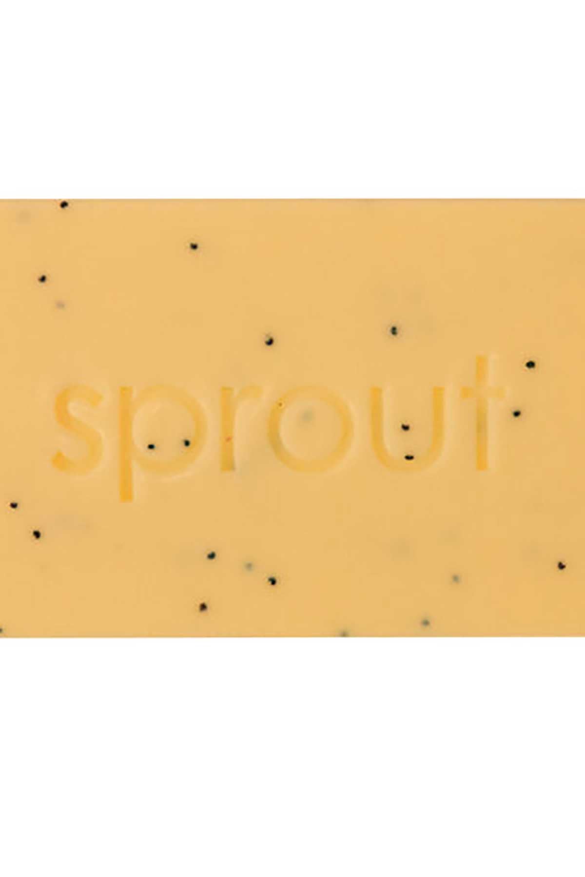 Annabel Trends Sprout Gardeners Hand Soap - Passionfruit