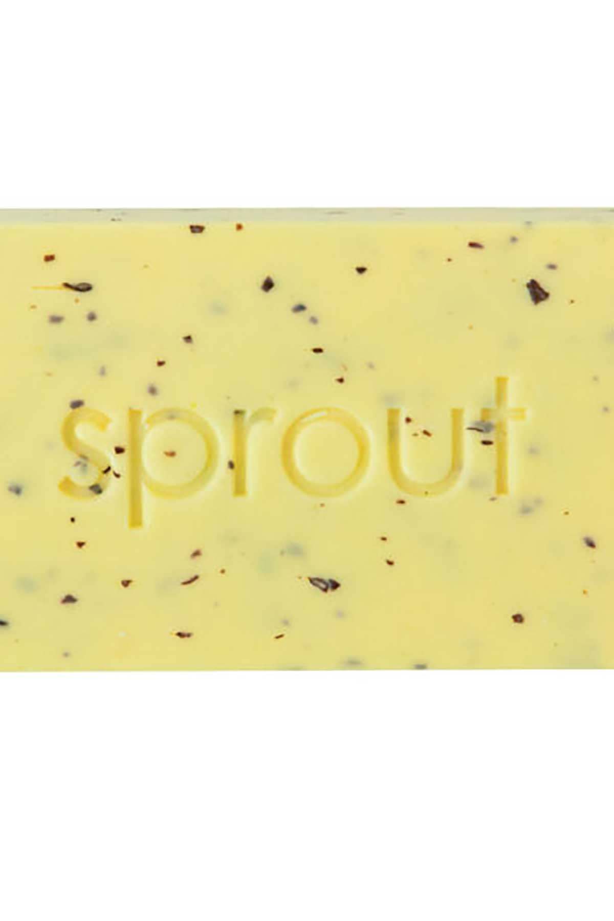 Annabel Trends Sprout Gardeners Hand Soap - Pineapple & Ginger