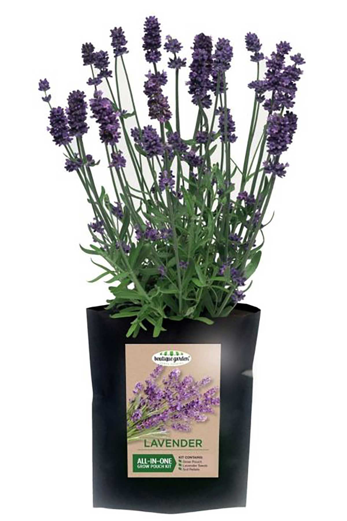 Mr Fothergills lavender all in one kit