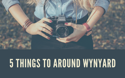 5 Things to do around Wynyard
