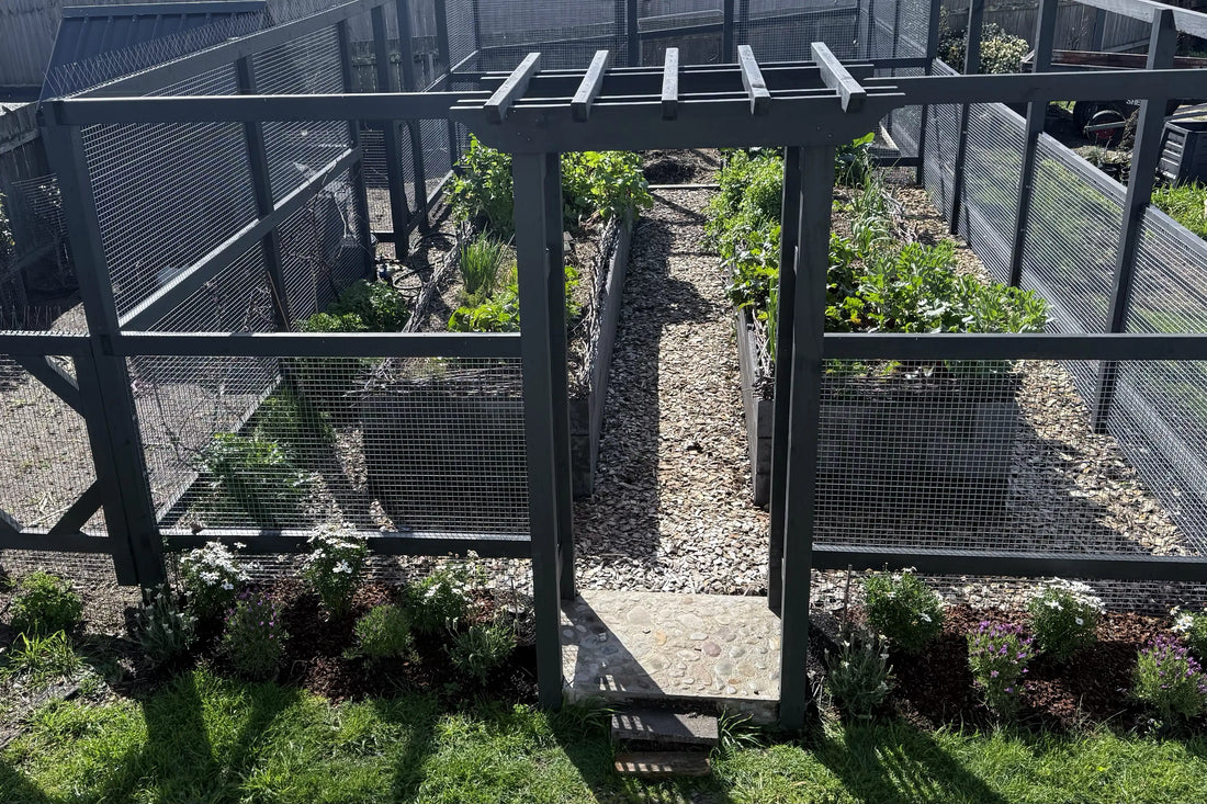 How I became a gardener