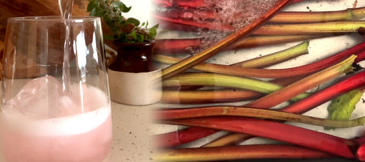 pooring Rhubarb Champagne into a glass with ice on an bench full of rubarb stems