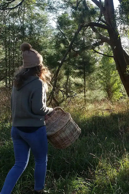 Taking a wander through the Tasmanian bush for inspiration