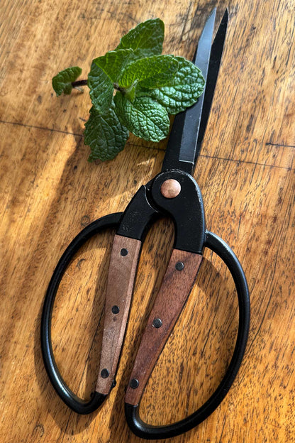 A pair of kitchen shears with black metal blades and handles, brown wooden grips, and a copper-colored pivot screw, displayed on a wooden tabletop next to a sprig of fresh green mint.