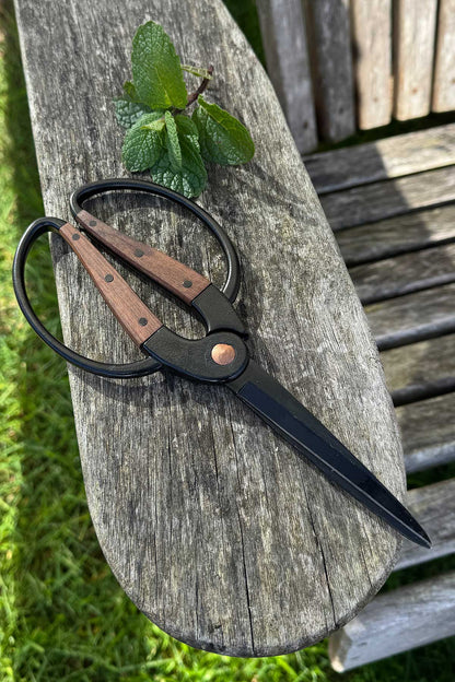 A pair of large black-handled garden herb scissors with brown wooden handles rests on a weathered wooden bench outdoors, with green mint leaves placed near the handle loop.