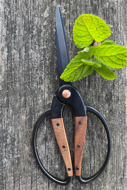 A pair of pruning shears with black metal blades and loop handles, featuring brown wooden grips, displayed on a weathered gray wooden surface next to a fresh green mint sprig.