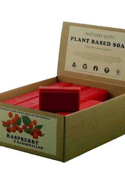 Natures gift Raspberry and Marshmallow soap
