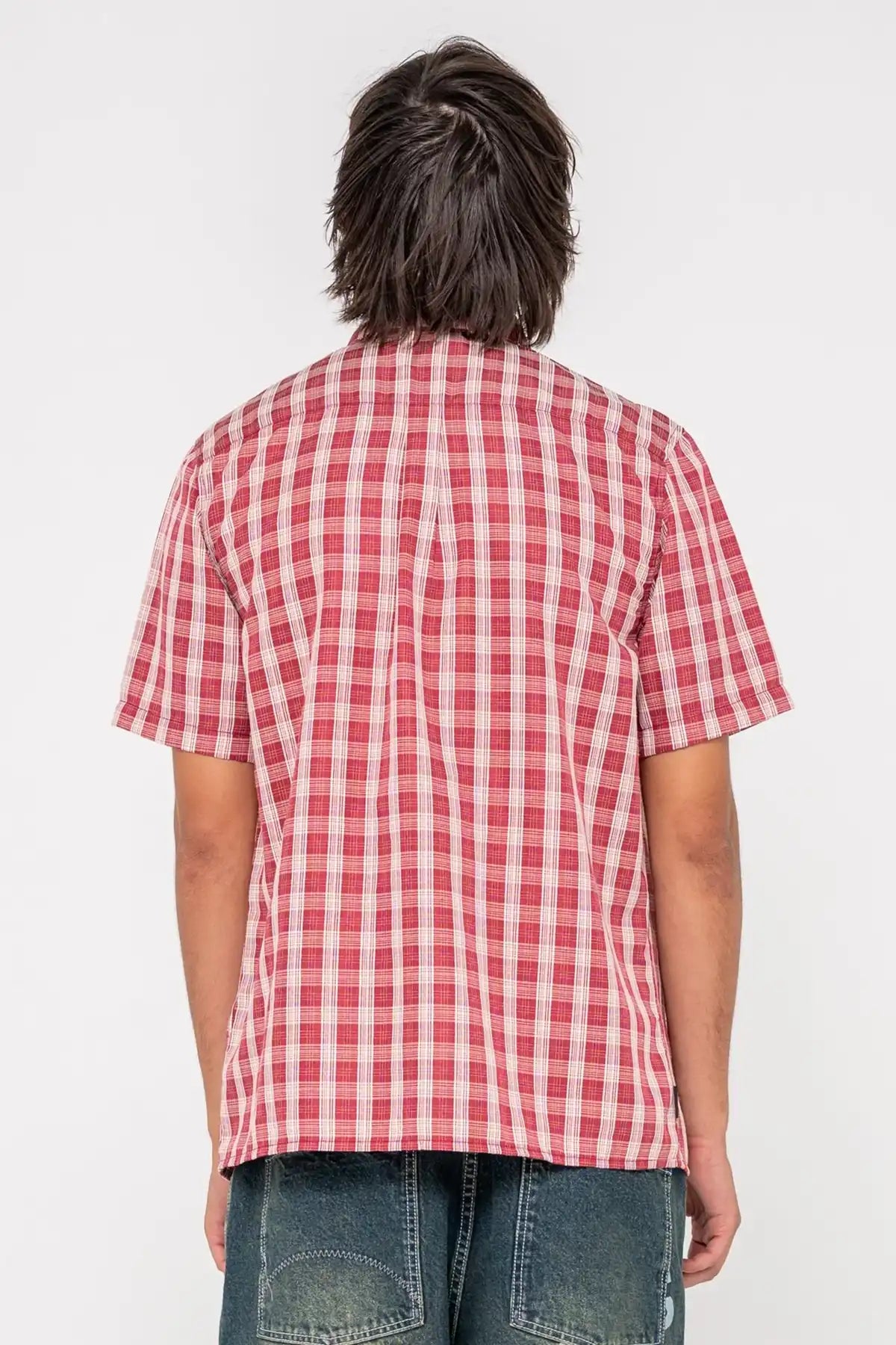 Person wearing a red and white checkered shirt from behind on a white background