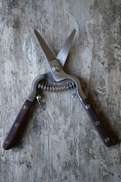 A pair of garden snips with silver metal blades and dark brown wooden handles, resting on a weathered gray wood surface.