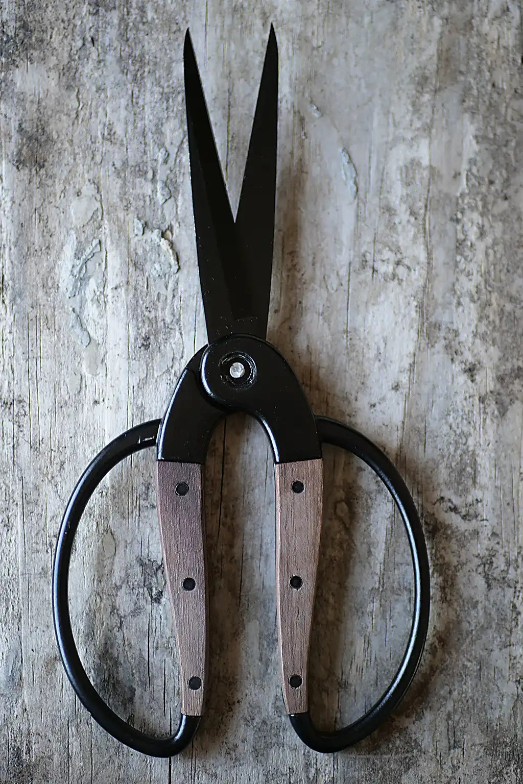 Black steel and walnut handle herb scissors on a weather board