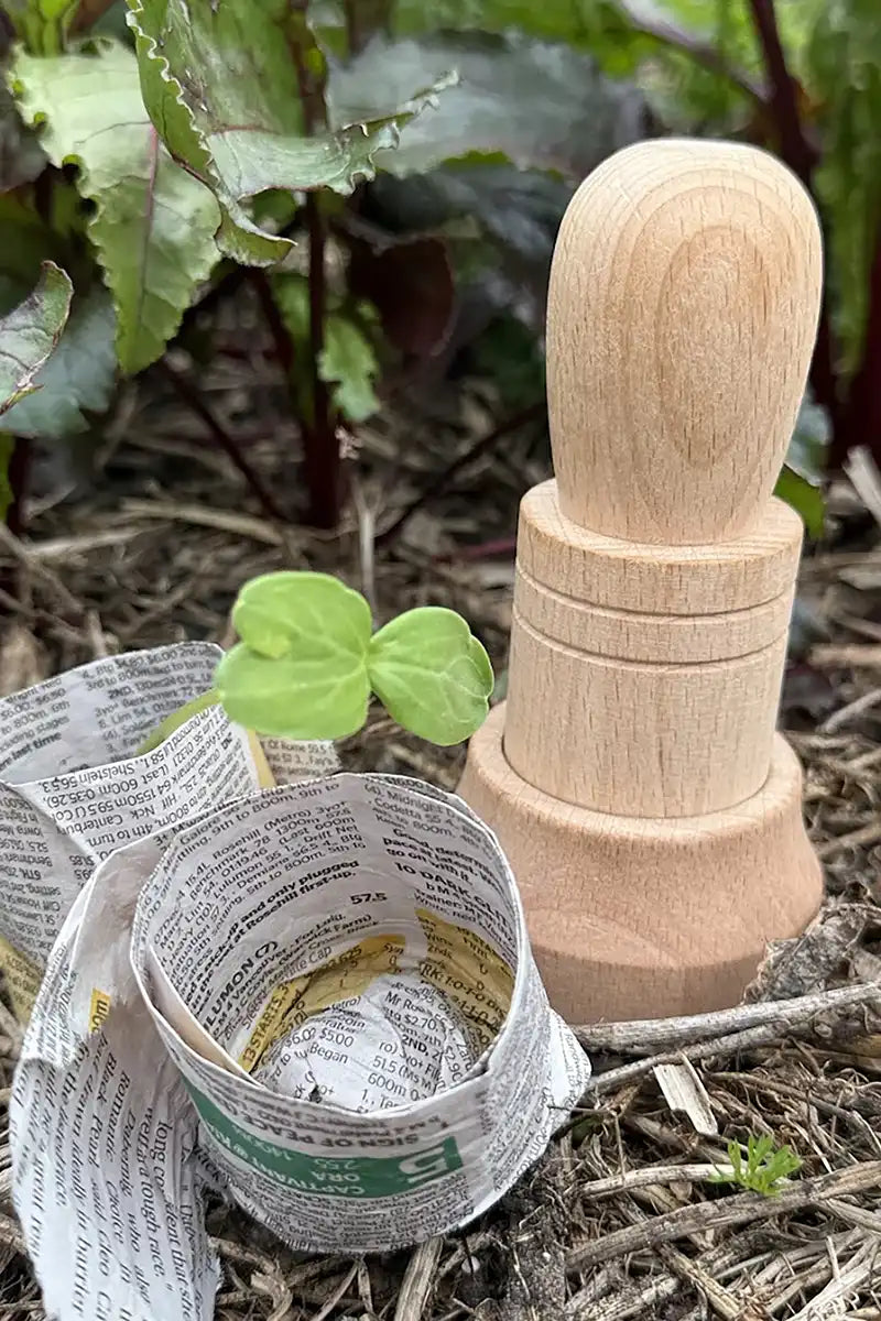 timber paper pot maker with paper pots sitting in a garden with beetroot plants behind