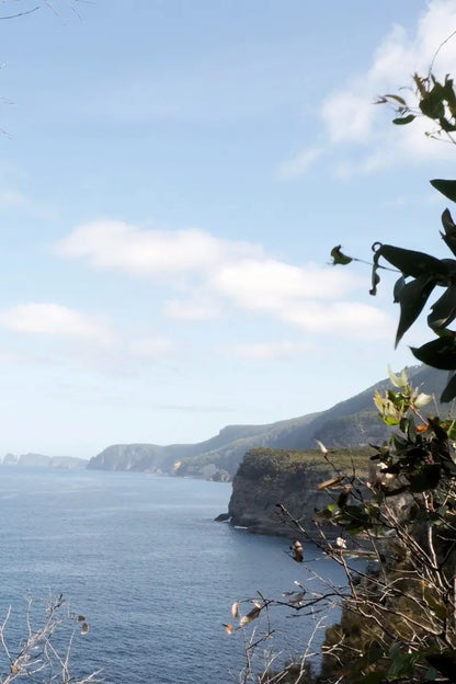 rugged tasmanian coastline