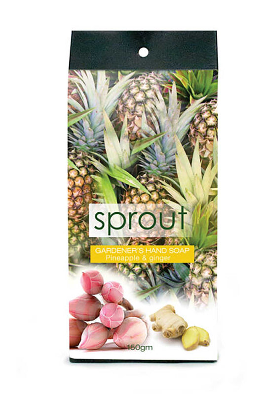 Annabel Trends Sprout Gardeners Hand Soap - Pineapple & Ginger
