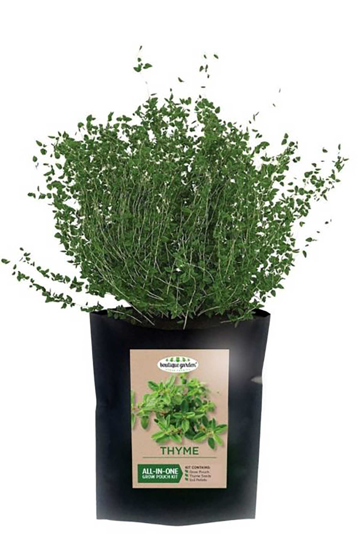 Mr Fothergills thyme all in one kit